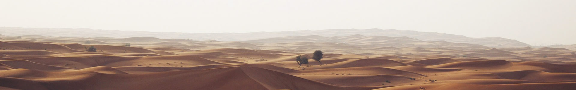 ƺ˳ܻƼ޹˾